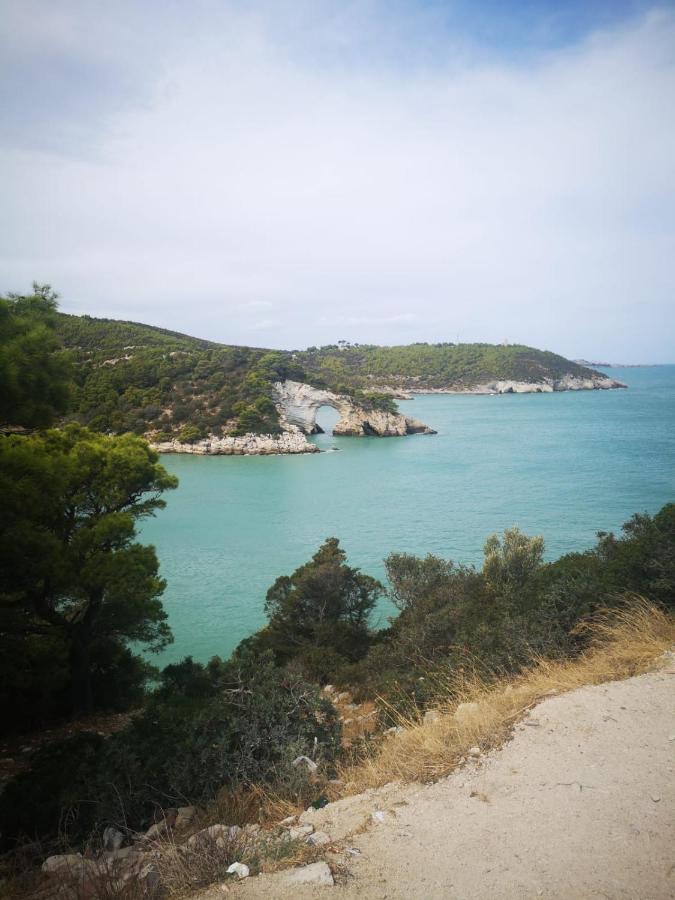 Vieste Holiday 외부 사진